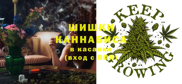Альфа ПВП Алексин