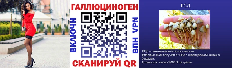 Галлюциногенные грибы Psilocybe  Заполярный 